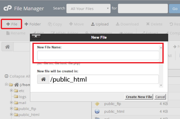 cPanel - File Manager - Create file