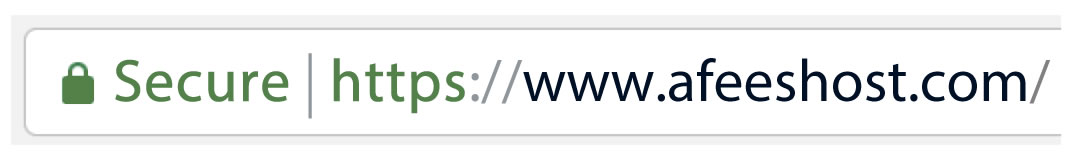 website with ssl certificate url